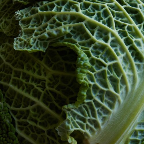 Jamaican Curry Cabbage – Smart Lifestyling